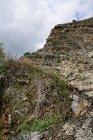 DSC07977.JPG