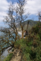 DSC07939.JPG