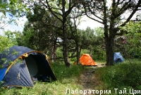 DSC07933.JPG