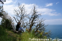 DSC07935.JPG