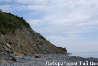 DSC07973.JPG