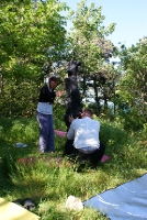 DSC07930.JPG