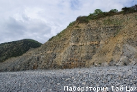 DSC07974.JPG