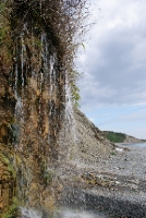 DSC07979.JPG